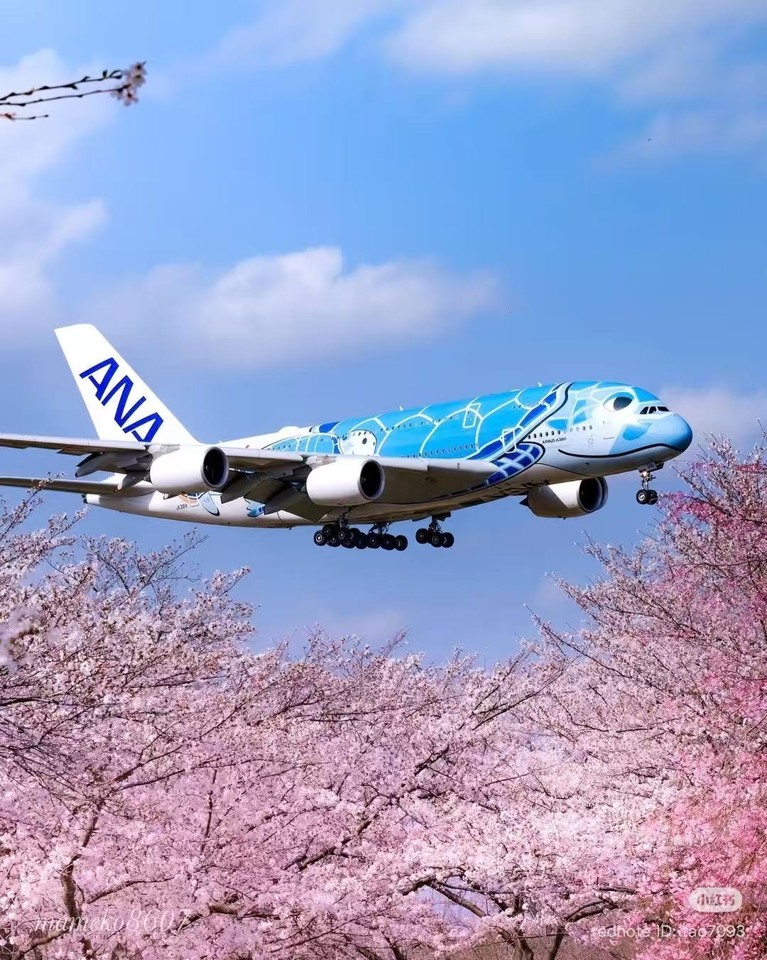 Airplane