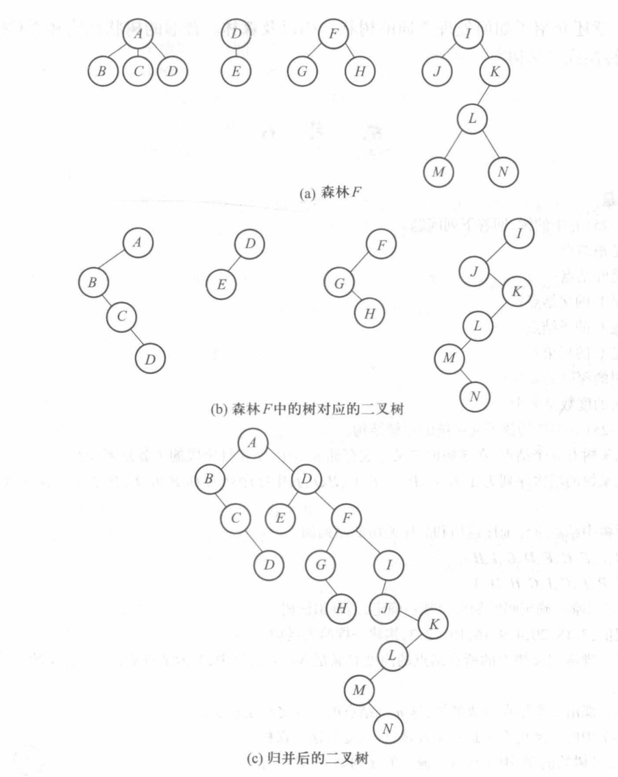 将森林转化为一棵二叉树